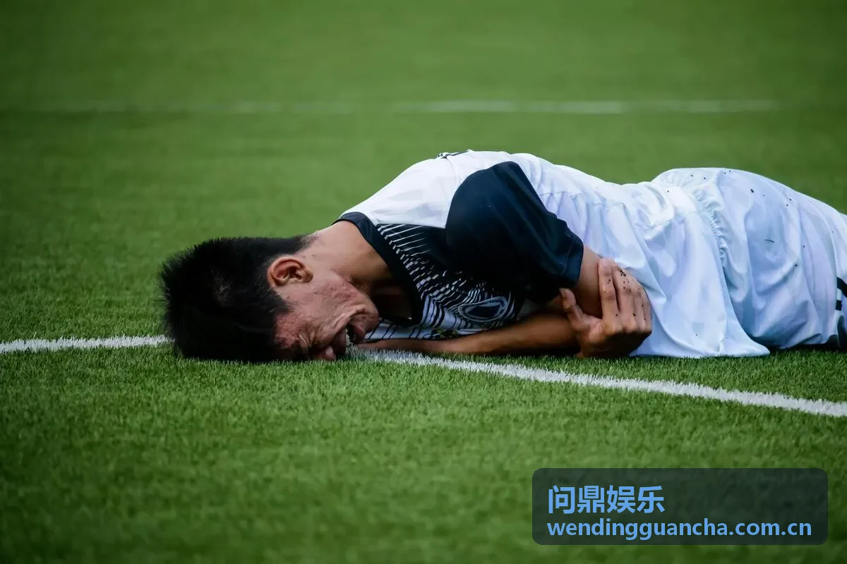 问鼎娱乐会员专属服务体验
